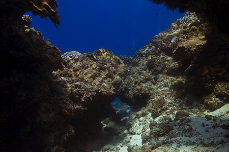 穿过珊瑚礁的洞