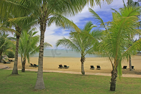 带太阳椅和棕榈树的沙滩