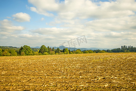 收获的玉米田，背景是山