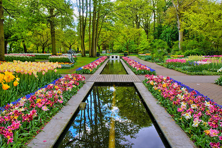 荷兰 Lisse 库肯霍夫公园被五颜六色的郁金香包围的水道