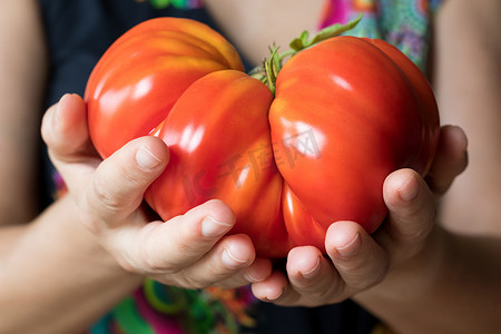传家宝摄影照片_手拿着一个巨大的 Zapotec 褶皱传家宝番茄