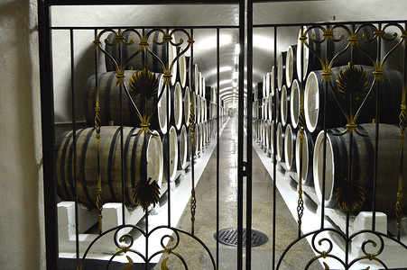 欧式铁艺大门摄影照片_透过铁艺金属大门，可以看到陈旧橡木桶成排陈列的酒窖
