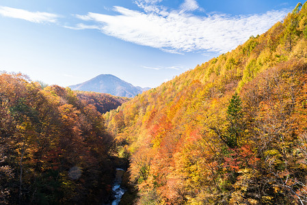 川背景摄影照片_中津川 福岛 秋天