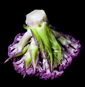 紫色纯摄影照片_新鲜的紫色花椰菜
