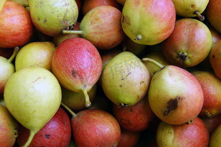 成熟的水果梨收获。梨背景的成熟水果