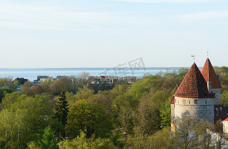 爱沙尼亚塔林老城树木繁茂的公园和中世纪塔楼