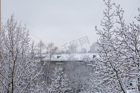 冬季灰色城市背景下的积雪树木和房屋屋顶