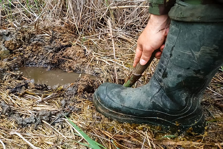 穿着橡胶靴的男人在沼泽地里挖了一个铲坑。