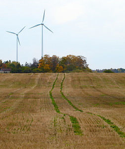 在该领域的两个风力涡轮机。