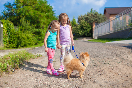 牵狗散步摄影照片_两个小女孩牵着小狗在户外散步