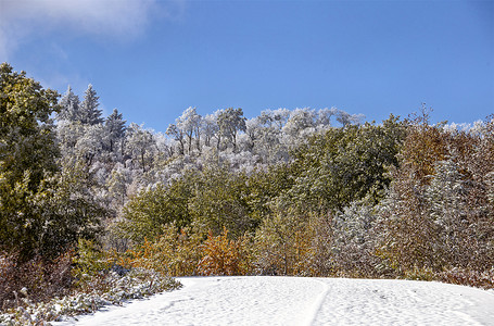 赛普拉斯山第一场降雪