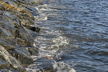 波浪形壁纸摄影照片_背景和壁纸的自然波浪海景