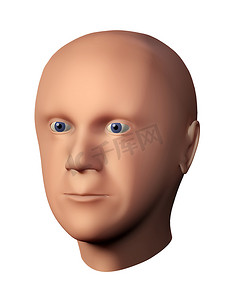男性头部的 3D 渲染，没有头发与白色隔离