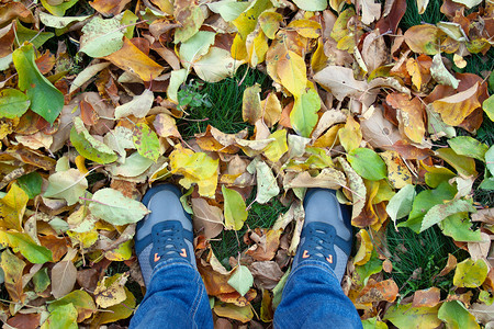 深秋落叶摄影照片_落叶上的腿