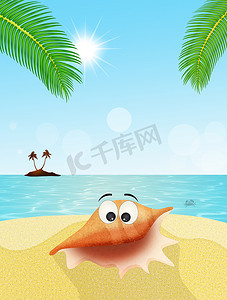 海洋卡通贝壳摄影照片_海滩上有趣的贝壳卡通