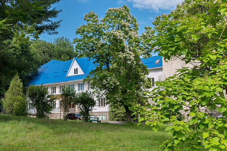 一座度假屋坐落在美丽的绿地中，树木环绕，在蓝天的绿色草坪附近有一张可供休息的长凳。
