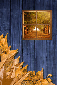 秋天木板背景摄影照片_方形玻璃窗的复合图像