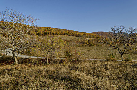 美丽的秋天景色，包括林间空地、山丘、落叶树和道路，靠近漂亮的 Zhrebichko 村、Bratsigovo 市、Rhodope 山脉