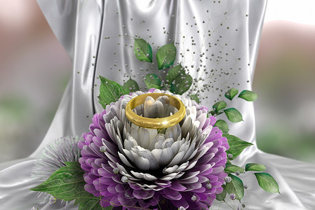 用菊花和戒指隔离白色假期和婚礼背景