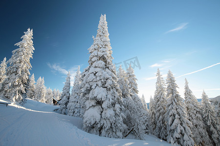 冬天场景图摄影照片_冬季景观