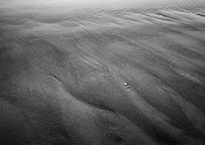 沙滩上一个孤独的贝壳