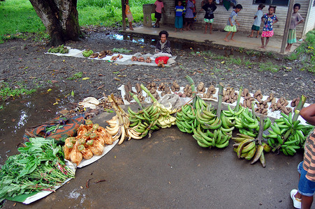 巴布亚新几内亚市场