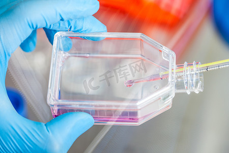 科学家使用细胞培养瓶