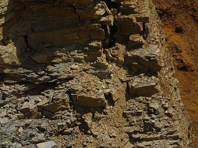 在石灰石采石场发现的主要是红色沉积岩