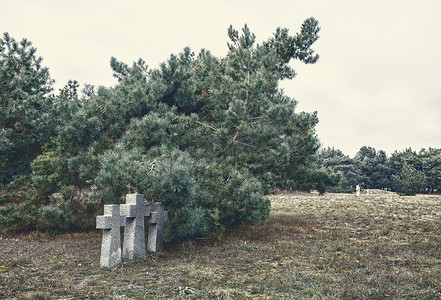 旧墓地中的三个石十字架