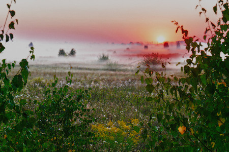 在地平线上落下的太阳光线中的一个有薄雾的傍晚绿色田野