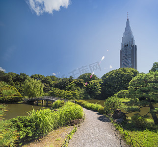 俯瞰上池塘木桥的新宿塔楼