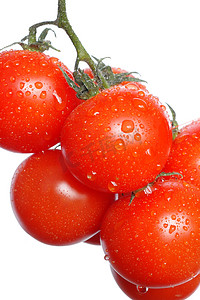 湿西红柿