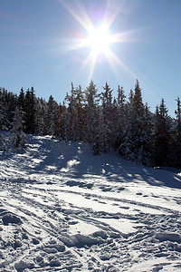 冬季景观蒂罗尔