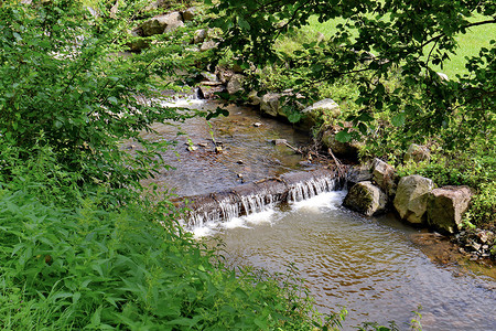 树下的石头摄影照片_一条河流的横梁上的小急流，两旁是树下的石头