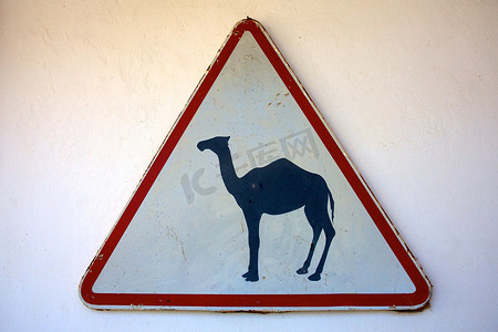骆驼横穿标志