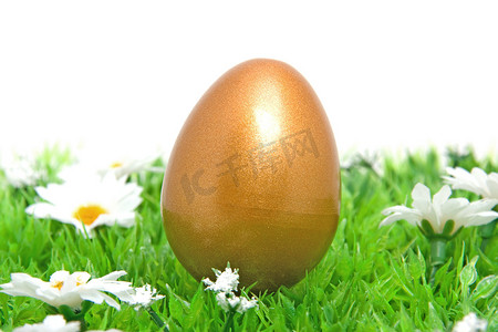 草地上的金鸡复活节彩蛋