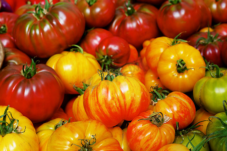 一堆传统西红柿