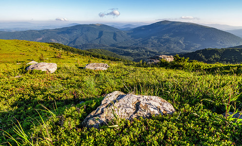 喀尔巴阡山脉长满草的山坡上的岩石