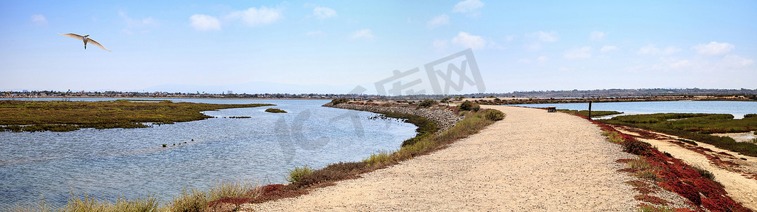 湿地徒步摄影照片_沿着 Bolsa Chica wetlan 宁静祥和的沼泽小径