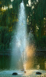 湖水背景摄影照片_背景为树木的湖中喷泉喷水