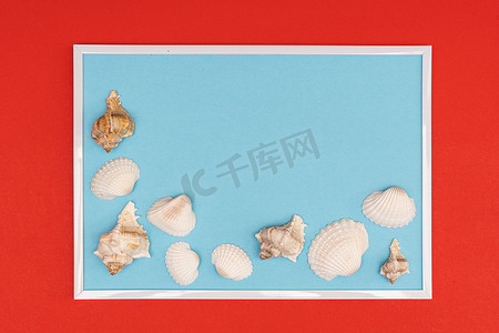 褐白相间的贝壳摄影照片_白贝壳组成