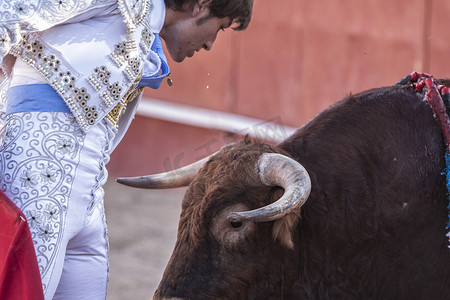 梅节日摄影照片_斗牛士阿尔贝托·拉梅拉斯 (Alberto Lamelas) 在西班牙安达卢西亚哈恩省的 Beas de segura 斗牛场斗牛，勇敢地将身体置于公牛的两角之间