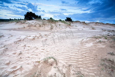 沙丘上阴沉的风景