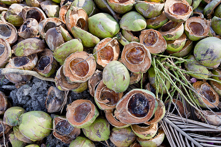 copra摄影照片_有叶子背景的新鲜椰子