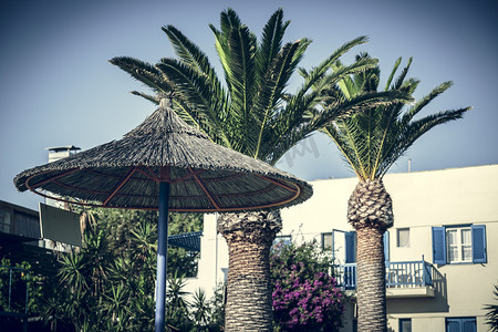 带两棵棕榈树的稻草遮阳伞和背景中的希腊房屋
