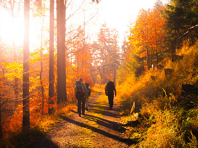 一群背包客在秋季森林的路上徒步旅行