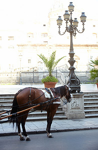 马车雕像摄影照片_巴勒姆比勒陀利亚广场耻辱喷泉中的越野车