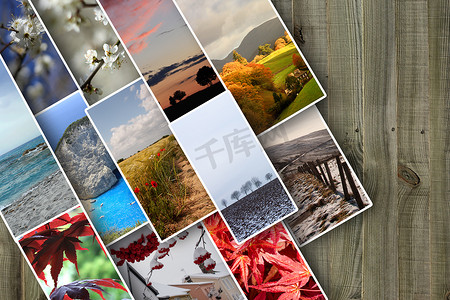 背景图画摄影照片_不同季节的拼贴画由各种美丽的图画组成