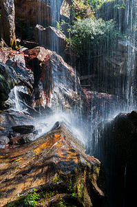 森林中瀑布和岩石的特写