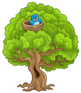 大树与蓝鸟在巢